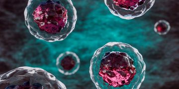 Estudo revela “vento” interno que organiza proteínas nas células