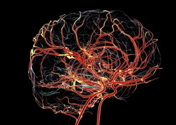 Médicas explicam importância da alimentação na recuperação do AVC