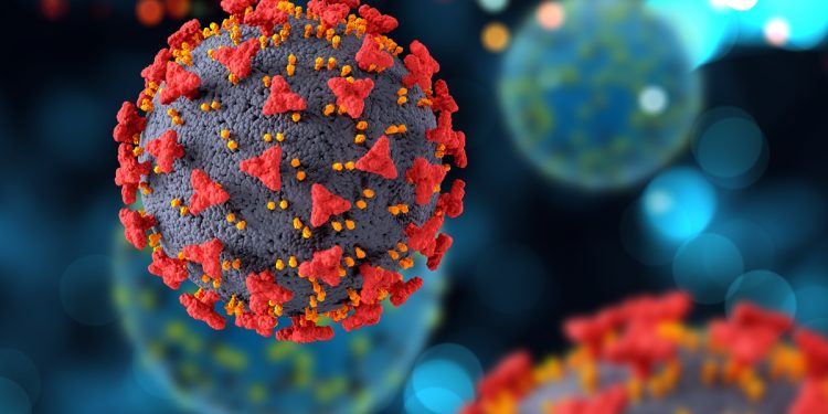 VSR: Anvisa amplia faixa etária de vacina contra vírus da bronquiolite