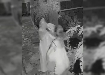 Dona de pousada no DF é agredida com socos e chutes por hóspede. Veja vídeo