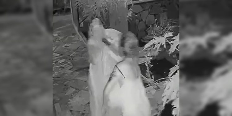 Dona de pousada no DF é agredida com socos e chutes por hóspede. Veja vídeo