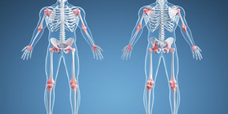 Descobertas mostram que a anatomia humana não é um campo fechado