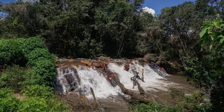 Chácara que foi pivô de chacina no DF pertencia a coronel do Exército
