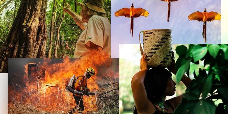 UnB de Planaltina apresenta fotografias de parques ecológicos do DF