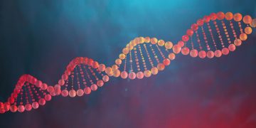 Evolução: população moderna tem mais ruivos e menos calvos, diz estudo