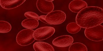 Estudo explica por que a diabetes é menos comum em grandes altitudes