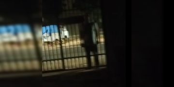 O momento em que homem tenta invadir casa para matar mulher e criança. Vídeo