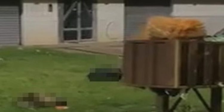 Homem que decapitou bode e cabra é identificado com restos dos animais