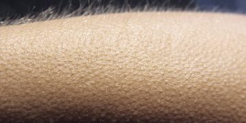 Sua intuição pode falhar? Neurologista explica quando ela te engana