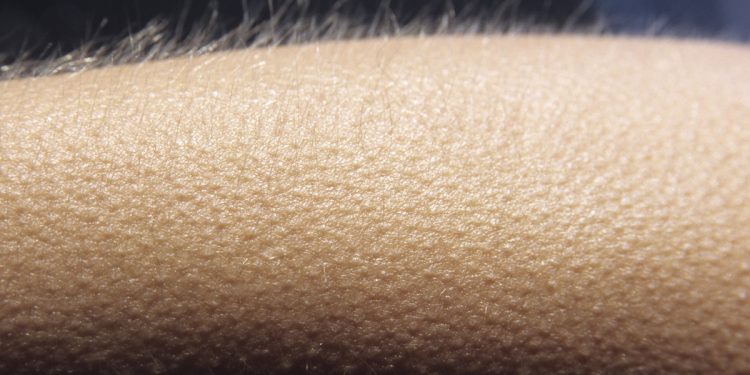 Sua intuição pode falhar? Neurologista explica quando ela te engana