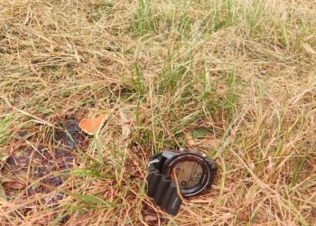 Pedreiros sequestram italiano em igreja no DF, confessam latrocínio e escondem corpo