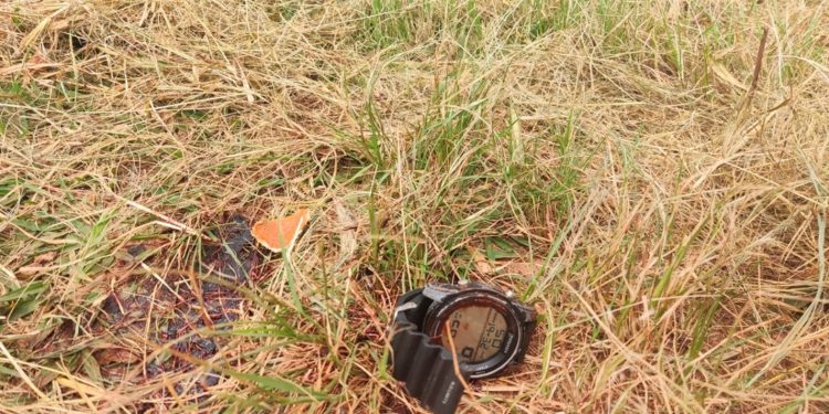 Pedreiros sequestram italiano em igreja no DF, confessam latrocínio e escondem corpo