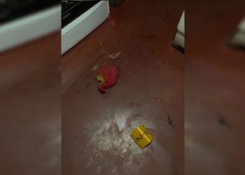 Bebedeira e sangue: homem tenta matar amigo com foice após discussão