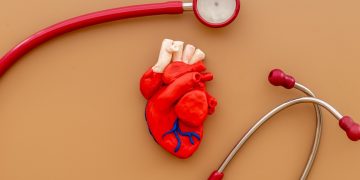 Menopausa e circulação: entenda como proteger sua saúde vascular