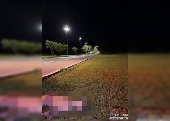 Batalhão Ambiental classifica morte de onça-parda como fatalidade