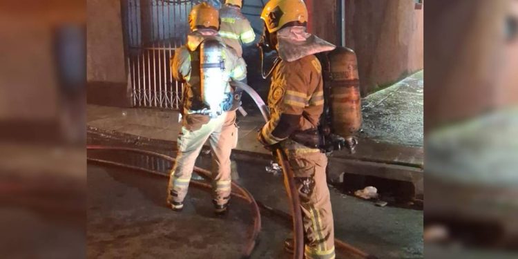 Cão e gato são resgatados de casa em chamas pelo Corpo de Bombeiros. Veja vídeo