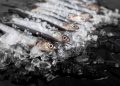 Anvisa manda recolher lote de sardinha congelada contaminada