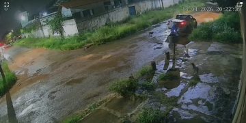 Crueldade: homem desce de carro, abandona 5 cachorros e vai embora. Veja vídeo