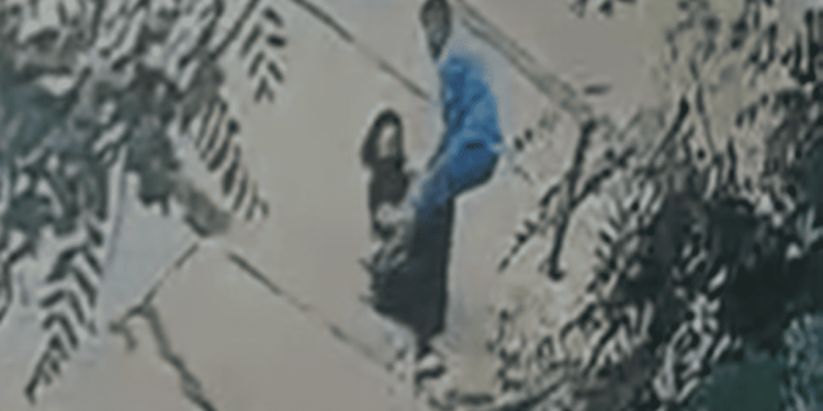 Câmeras flagram momento em que homem agride e atropela mulher no DF. Veja vídeo