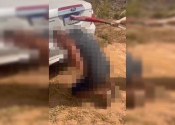 Extorsão, tortura e cassetete: dupla ligada a advogada e PM é presa. Veja vídeo