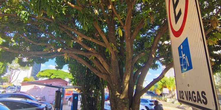 Ponto de recarga próximo ao TRF1 tira vaga de estacionamento para PCDs. Veja vídeo