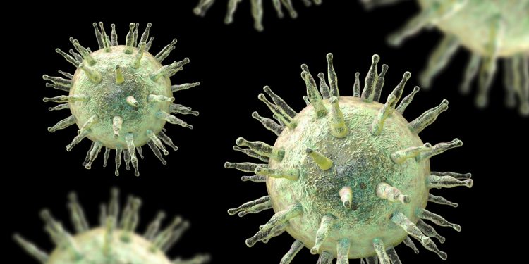 Cientistas descobrem como bloquear vírus que afeta 95% da população