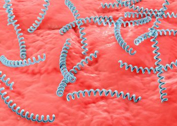 Sífilis: infectologista lista principais sintomas e riscos da doença