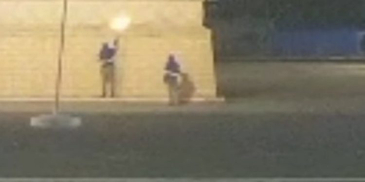 Luciano Hang denuncia vandalismo em estátua da Havan de Valparaíso. Veja vídeo