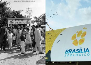 Aniversário de Brasília: Zoológico nasceu antes mesmo da capital