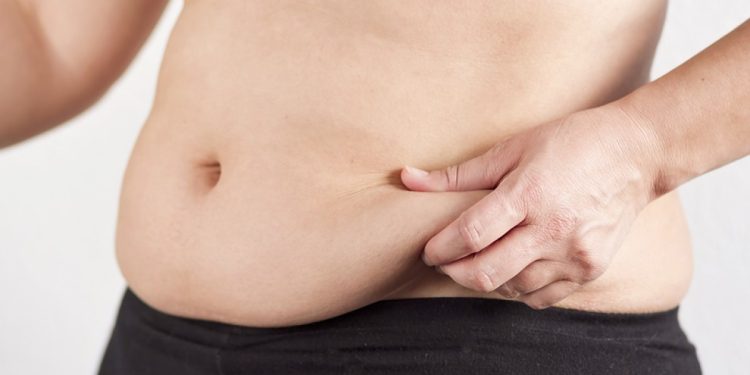 Suplemento com bactéria intestinal pode ajudar a evitar efeito sanfona