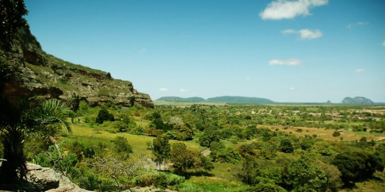 Turismo hipster e gentrificação rural