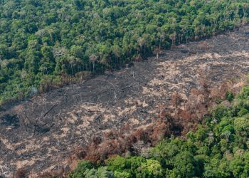 No “Dia do Agro”, setor passa boiada, dificulta fiscalização ambiental e diminui proteção