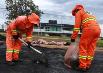 DF: Dia do Gari tem música, sorteio de prêmios e serviços de saúde