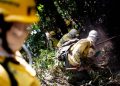 Rajada de vento faz ICMBio cancelar queima prevista no Parque Nacional de Brasília