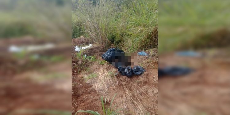 PCGO pede ajuda em caso de cães descartados no lixo em Novo Gama