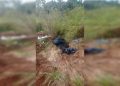 Vídeo: cães são encontrados mortos dentro de sacos de lixo no Entorno