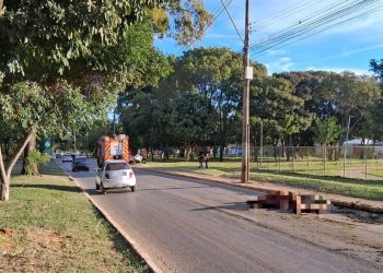 Cavalo morre após ser atropelado por carro em via do DF