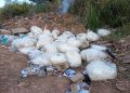 DF Legal multa fábrica por descarte irregular de lixo em rodovia. Veja vídeo