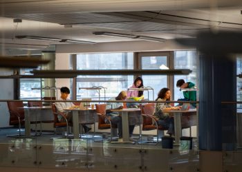 Top 10: veja quais são os cursos mais buscados em faculdades privadas