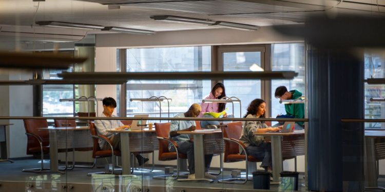 Top 10: veja quais são os cursos mais buscados em faculdades privadas