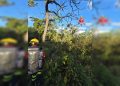 Homem é resgatado após sofrer acidente durante mergulho no DF