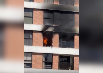 Gato morre após incêndio atingir apartamento em Águas Claras. Veja vídeo