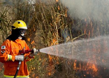 GDF decreta emergência ambiental para reforçar combate às queimadas