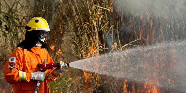GDF decreta emergência ambiental para reforçar combate às queimadas