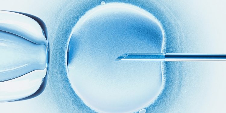 Coleta de óvulos: os riscos de um procedimento considerado seguro