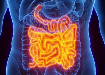 Câncer de intestino: saiba quais são os principais sintomas da doença