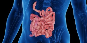Falta de foco pode estar ligada ao funcionamento do intestino. Entenda
