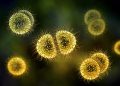 Médico comenta mitos e verdades sobre meningite
