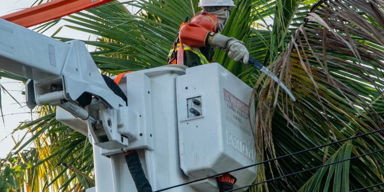 Endereços de três regiões do DF ficam sem energia nesta terça (26/5)