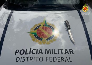Homem que matou outro a facadas às margens da BR-020 é preso